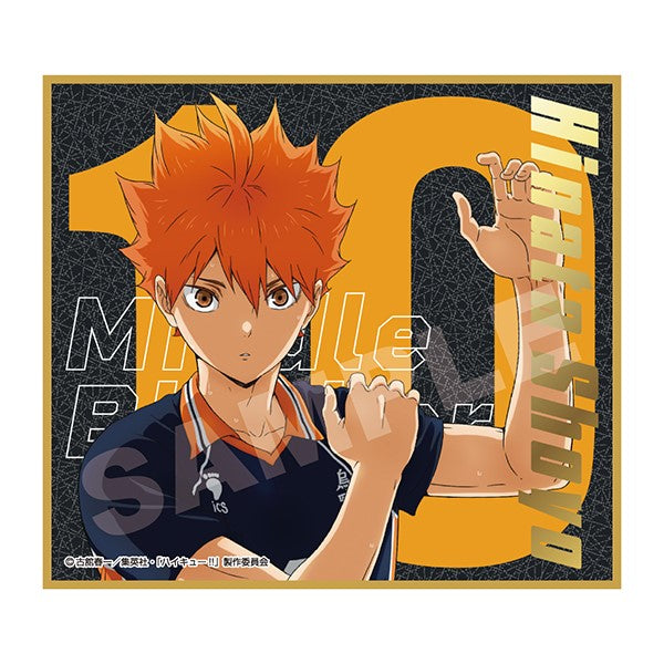 Haikyu!! Visual Shikishi Collection 8 (pack of 14) 排球少年 色紙 shikishi kirakira