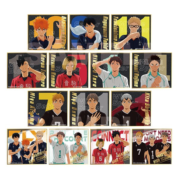Haikyu!! Visual Shikishi Collection 8 (pack of 14) 排球少年 色紙 shikishi kirakira