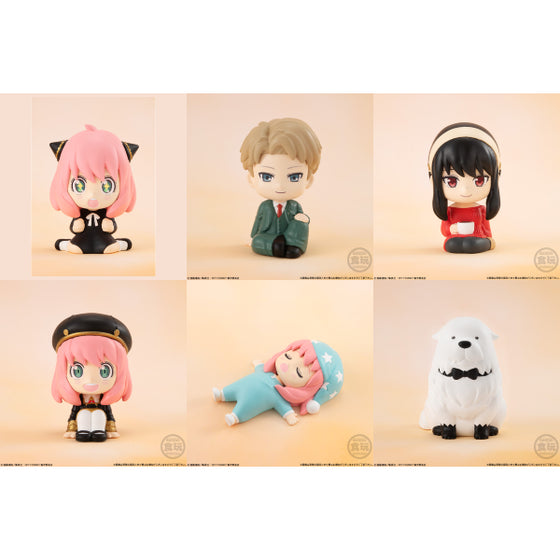 RIRAKOTTO SPY×FAMILY W/O GUM (box of 10) 間諜家家酒 間諜過家家 安妮亞 Anya アーニャ