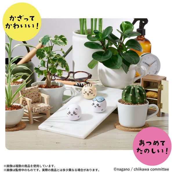 CUTOCO CHIIKAWA (Chiikawa / HACHIWARE / USAGI) 小可愛 小八貓 烏薩奇