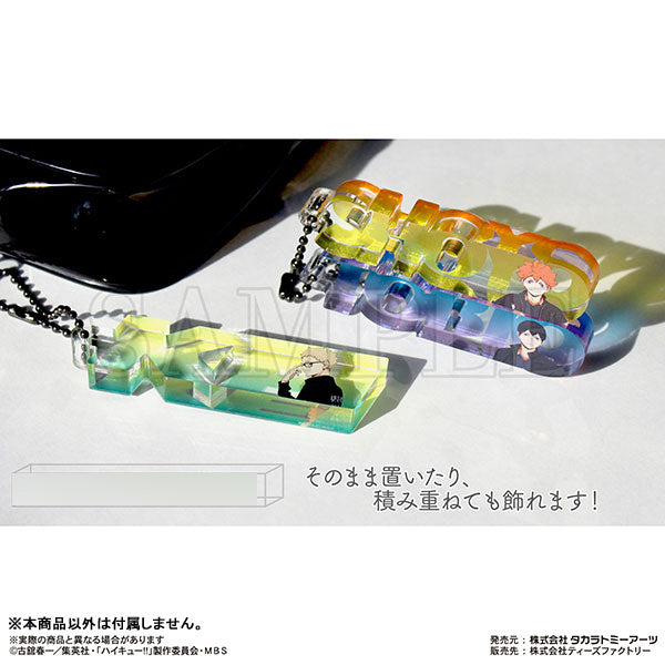 Haikyu!! Trading Name Block Key Ring Vol.1 (Set of 8) 排球少年 鎖匙扣 吊飾 掛飾