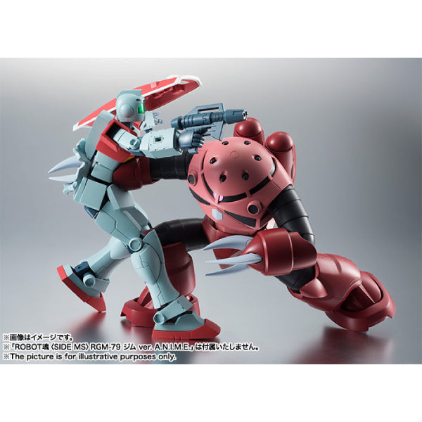 THE ROBOT SPIRITS <SIDE MS> MSM-07S Z'GOK CHAR'S CUSTOM MODEL ver. A.N.I.M.E. 機動戰士 高達 馬沙專用 魔蟹