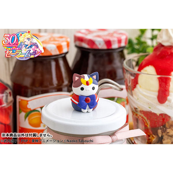 MEGA CAT PROJECT Pretty Guardian Sailor Moon - Sailor Mewn 2024ver. (box of 8) 美少女戰士
