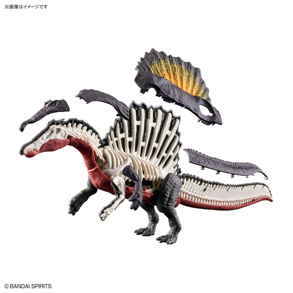 PLANNOSAURUS Spinosaurus 恐龍 棘龍 model kit