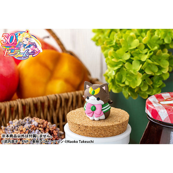MEGA CAT PROJECT Pretty Guardian Sailor Moon - Sailor Mewn 2024ver. (box of 8) 美少女戰士