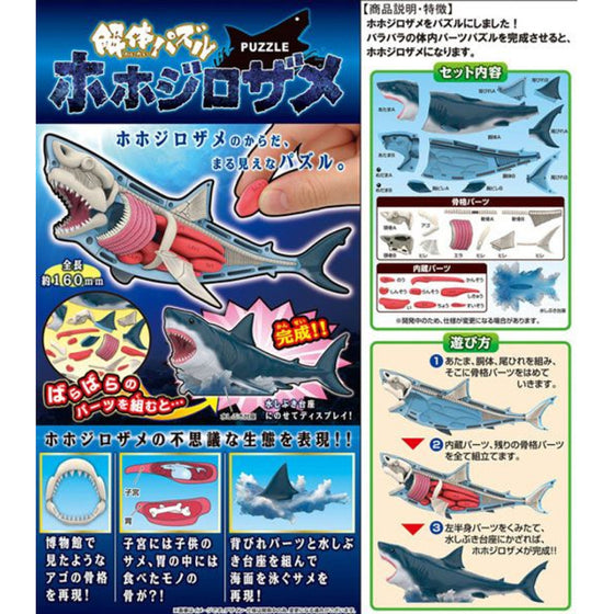 [Kaitai puzzle] Shark puzzle 解體拼圖 大白鯊 鯊魚