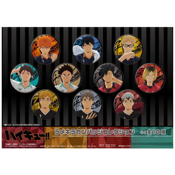 Haikyu!! Glittery Can Badge Collection (set of 10) 排球少年 襟章 ensky