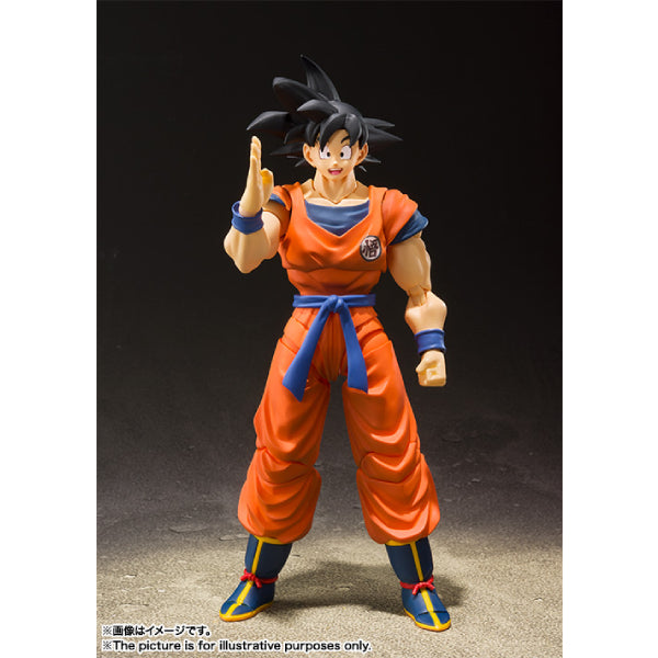 S.H.Figuarts SON GOKU -A SAIYAN RAISED ON EARTH- 龍珠 孫悟空 (2025 JUN Resale ver.)