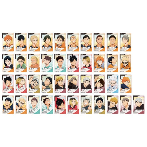 Haikyu!! Snapmide 2 (box of 16 packs) (2025 JUN ver.) 排球少年 收藏卡