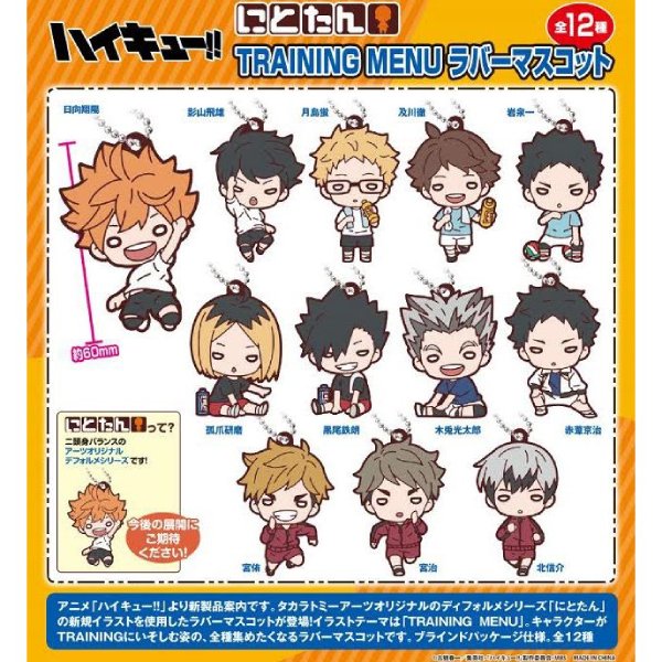 NITOTAN HAIKYU!! TRAINING MENU RUBBER MASCOT (set of 12) 排球少年 鎖匙扣 吊飾 掛飾