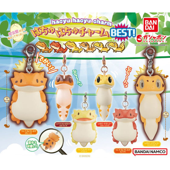HACHUHACHU CHARM BEST (set of 6) Reptile 爬蟲類 鎖匙扣 吊飾 掛飾 扭蛋 Gashapon capsule