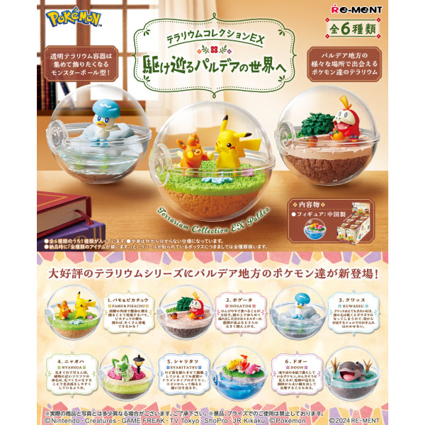 REMENT - POKEMON Terrarium EX Paldea (set of 6) 寵物小精靈 寶可夢 帕底亞