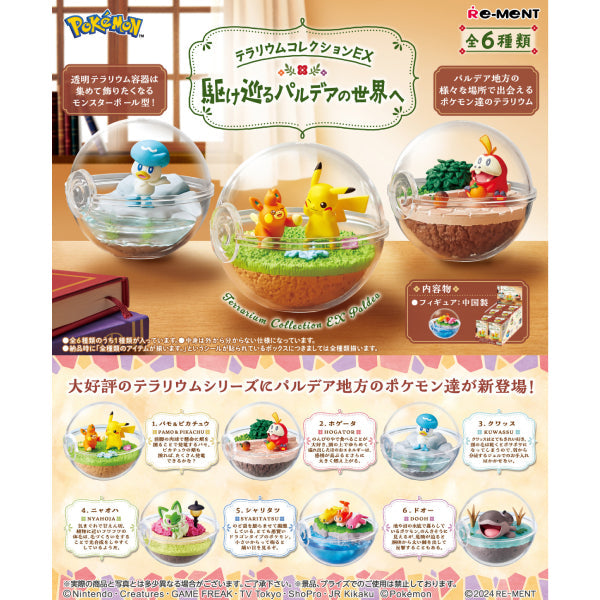 REMENT - POKEMON Terrarium EX Paldea (set of 6) (2024 Aug resale ver.) 寵物小精靈 寶可夢 帕底亞