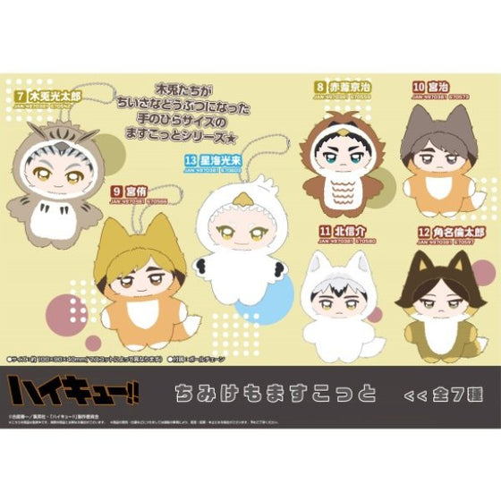 Haikyu!! Chimike Momascott 7~13 (Kotaro Bokuto / Keiji Akaashi / Atsumu Miya / Osamu Miya / Shinsuke Kita / Rintaro Suna / Korai Hoshiumi) 排球少年 鎖匙扣 吊飾 掛飾