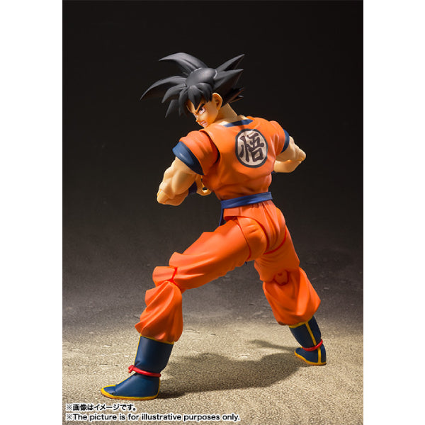 S.H.Figuarts SON GOKU -A SAIYAN RAISED ON EARTH- 龍珠 孫悟空 (2025 JUN Resale ver.)