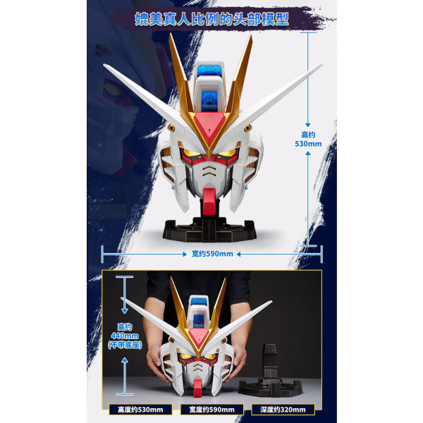 BN HEAD COLLECTION VOL.2 STRIKE FREEDOM GUNDAM 機動戰士 高達 突擊自由高達 ZGMF-X20A