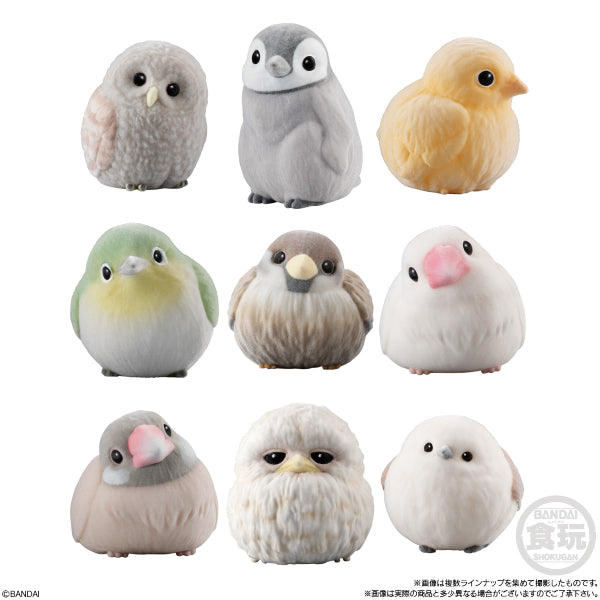 MOFUMOFU♡TE-NORI FRIENDS 1 W/O GUM (set of 9) (2025 JUL ver.)
