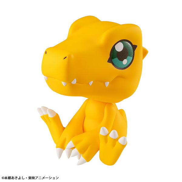 Lookup Digimon Adventure (Agumon / Gabumon) (2025 Oct resale ver.) 數碼暴龍大冒險 亞古獸 加布獸