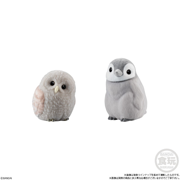 MOFUMOFU♡TE-NORI FRIENDS 1 W/O GUM (set of 9) (2025 JUL ver.)