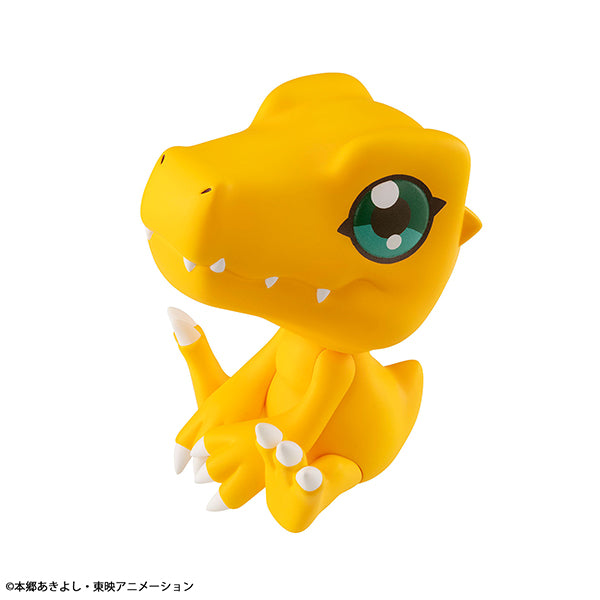 Lookup Digimon Adventure (Agumon / Gabumon) (2025 Oct resale ver.) 數碼暴龍大冒險 亞古獸 加布獸