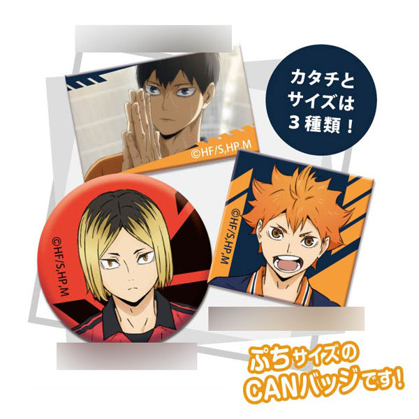 AreCore CAN Badge Haikyuu!! (box of 48 packs) 排球少年 襟章