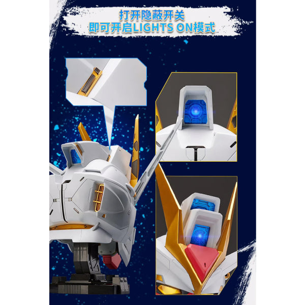 BN HEAD COLLECTION VOL.2 STRIKE FREEDOM GUNDAM 機動戰士 高達 突擊自由高達 ZGMF-X20A