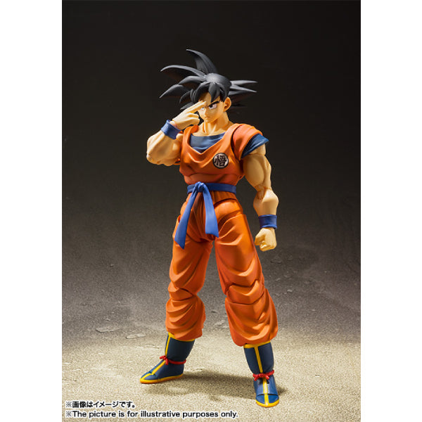 S.H.Figuarts SON GOKU -A SAIYAN RAISED ON EARTH- 龍珠 孫悟空 (2025 JUN Resale ver.)