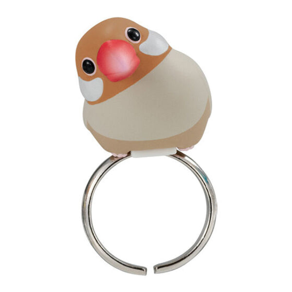 KOTORING 3 (set of 5) 扭蛋 戒指 ring