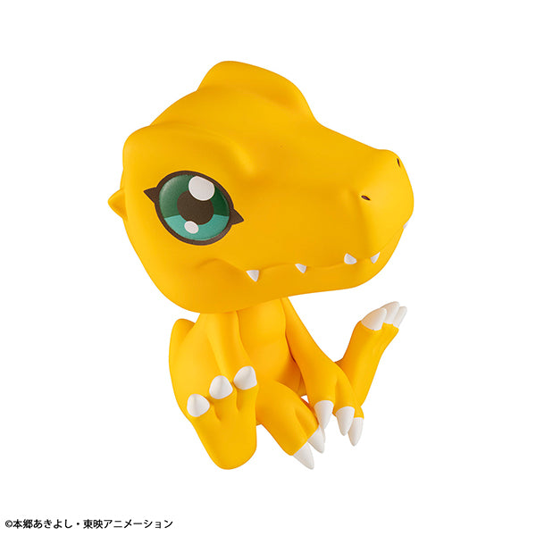 Lookup Digimon Adventure (Agumon / Gabumon) (2025 Oct resale ver.) 數碼暴龍大冒險 亞古獸 加布獸