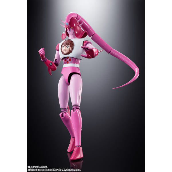 SOUL OF CHOGOKIN GX-108 RHINE X1 & GX-11R DIANAN A 超合金魂 鐵甲萬能俠 無敵鐵金剛 魔神Z 萊茵 戴安娜