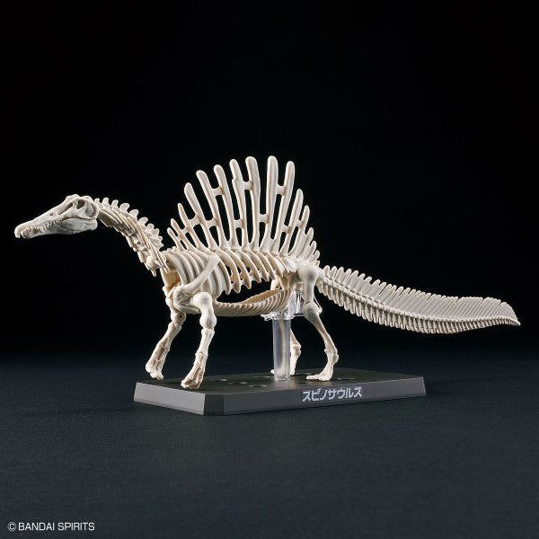 PLANNOSAURUS Spinosaurus 恐龍 棘龍 model kit