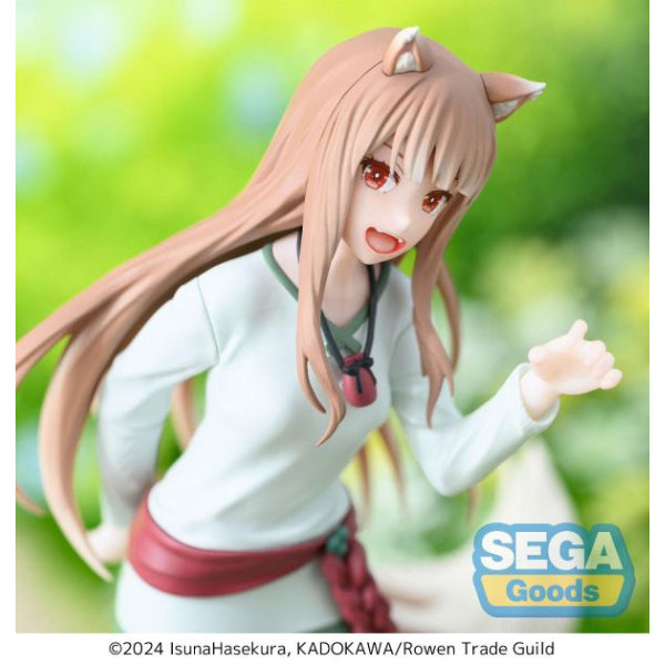 [DDC] SPICE & WOLF HOLO 狼與辛香料 赫蘿 dedecolle