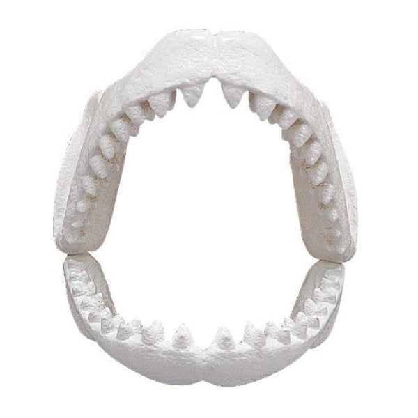 [Kaitai puzzle] Shark puzzle 解體拼圖 大白鯊 鯊魚