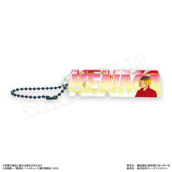 Haikyu!! Trading Name Block Key Ring Vol.1 (Set of 8) 排球少年 鎖匙扣 吊飾 掛飾