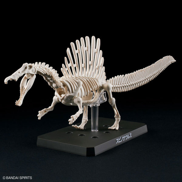 PLANNOSAURUS Spinosaurus 恐龍 棘龍 model kit