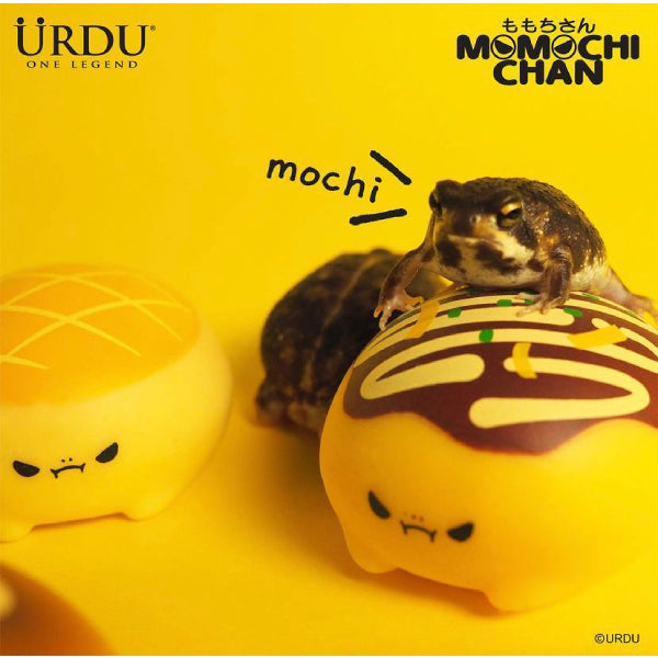 Urdu - Mochi Mochi Series (set of 6)