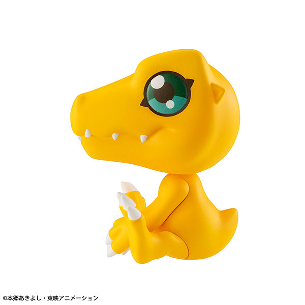 Lookup Digimon Adventure (Agumon / Gabumon) (2025 Oct resale ver.) 數碼暴龍大冒險 亞古獸 加布獸
