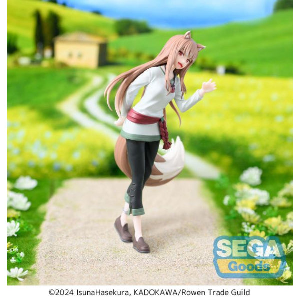 [DDC] SPICE & WOLF HOLO 狼與辛香料 赫蘿 dedecolle