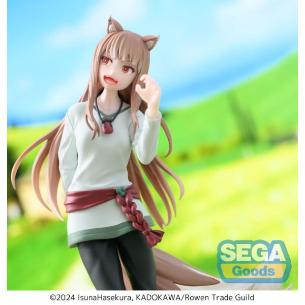 [DDC] SPICE & WOLF HOLO 狼與辛香料 赫蘿 dedecolle