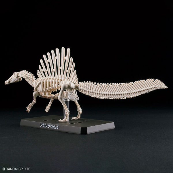 PLANNOSAURUS Spinosaurus 恐龍 棘龍 model kit