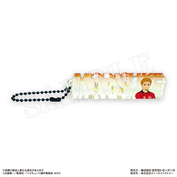 Haikyu!! Trading Name Block Key Ring Vol.1 (Set of 8) 排球少年 鎖匙扣 吊飾 掛飾