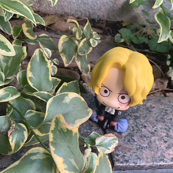 Lookup ONE PIECE  Sabo 海賊王 薩波