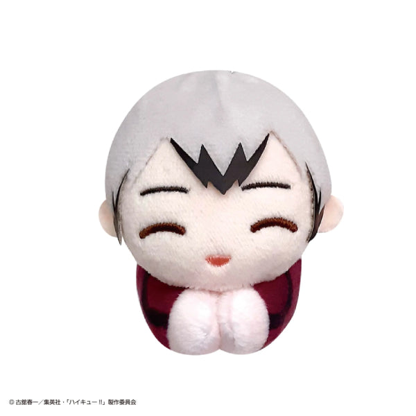 Haikyu!! Hagu Chara Collection Special (set of 10) (2024 June Resale ver.) 排球少年 hug