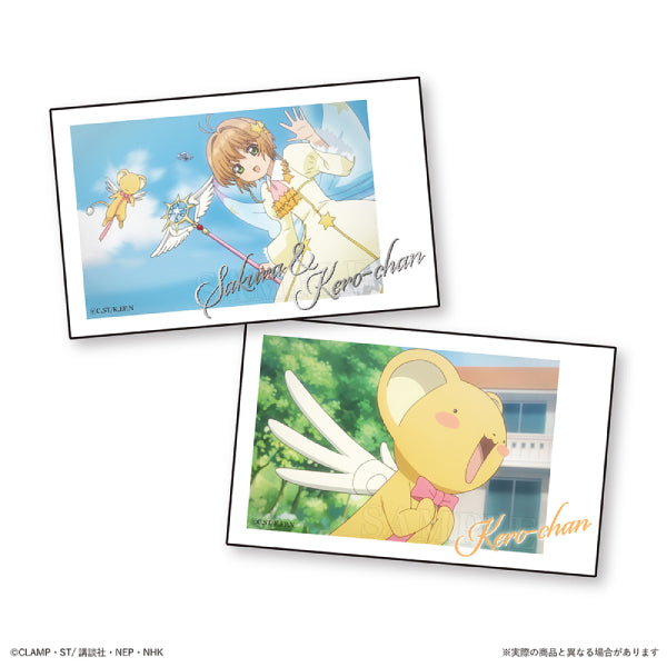 Cardcaptor Sakura Trading Smaroid (box of 24 packs) (2024 Aug resale ver.) 百變小櫻 收藏卡 相卡