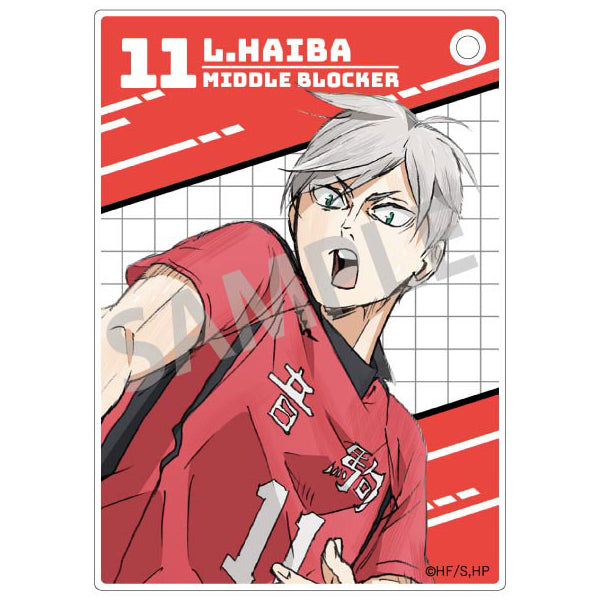 Haikyu!! Trading Acrylic Cards (set of 10) 排球少年 收藏卡