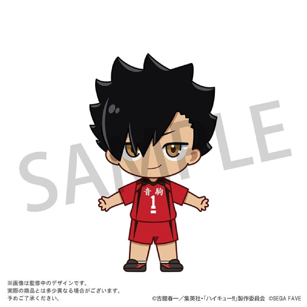 Acrylic Doll HAIKYU!! (Shoyo Hinata/ Tobio Kageyama/ Kei Tsukishima/ Tetsuro Kuroo/ Kenma Kozume) 排球少年 日向翔陽 影山飛雄 月島螢 黒尾鐵朗 孤爪研磨