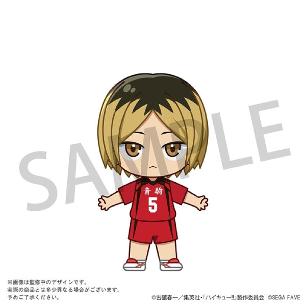 Acrylic Doll HAIKYU!! (Shoyo Hinata/ Tobio Kageyama/ Kei Tsukishima/ Tetsuro Kuroo/ Kenma Kozume) 排球少年 日向翔陽 影山飛雄 月島螢 黒尾鐵朗 孤爪研磨