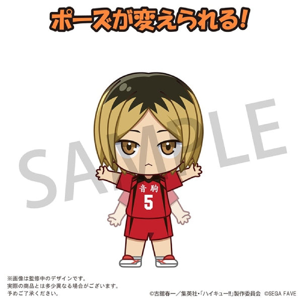 Acrylic Doll HAIKYU!! (Shoyo Hinata/ Tobio Kageyama/ Kei Tsukishima/ Tetsuro Kuroo/ Kenma Kozume) 排球少年 日向翔陽 影山飛雄 月島螢 黒尾鐵朗 孤爪研磨