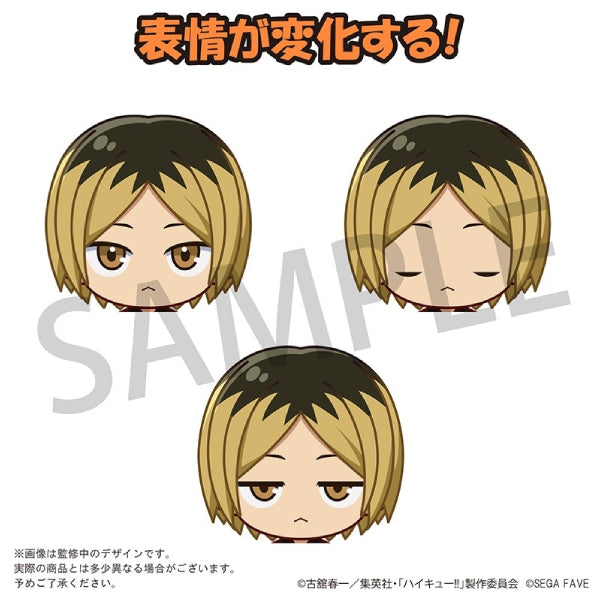 Acrylic Doll HAIKYU!! (Shoyo Hinata/ Tobio Kageyama/ Kei Tsukishima/ Tetsuro Kuroo/ Kenma Kozume) 排球少年 日向翔陽 影山飛雄 月島螢 黒尾鐵朗 孤爪研磨