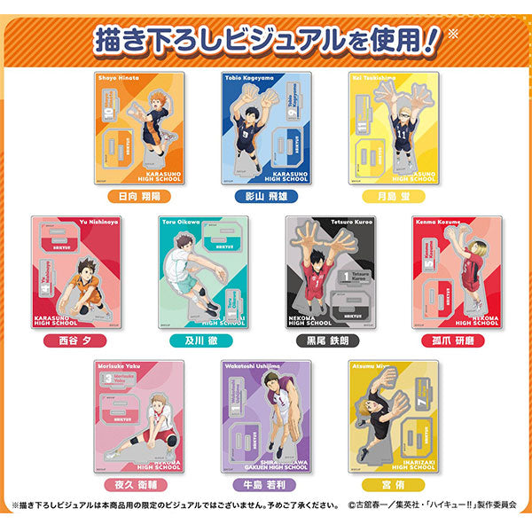 Haikyuu!! Acrylic Stand Collection Plus (pack of 10) 排球少年 立牌